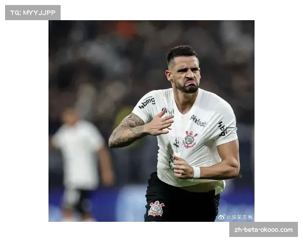 巴甲联赛裁判水平提升，重大错判漏判减少